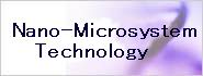Nano micro system
